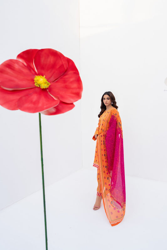 Stella Pop by Regalia 04