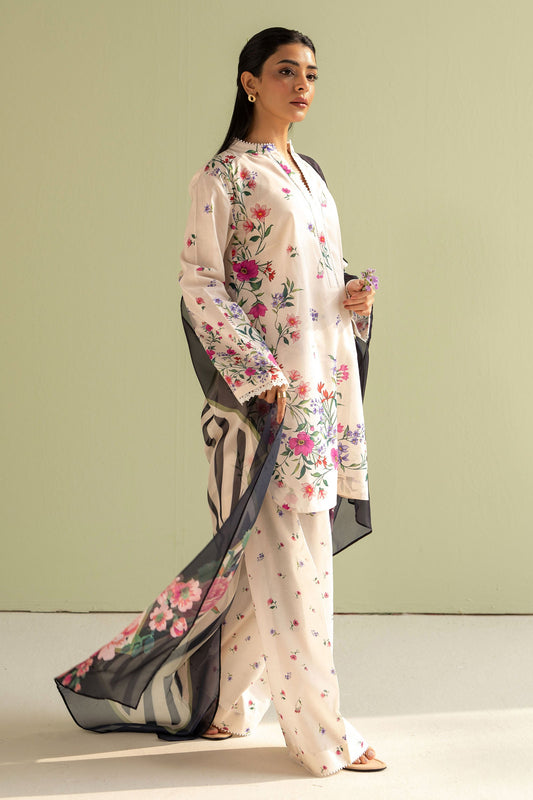 Coco Prints by Zara Shahjahan Reena-4B